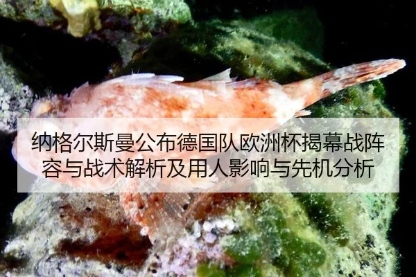na-ge-er-si-man-gong-bu-de-guo-dui-ou-zhou-bei-jie-mu-zhan-zhen-rong-yu-zhan-shu-jie-xi-ji-yong-ren-ying-xiang-yu-xian-2-126.jpg